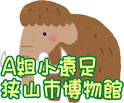 A�g������