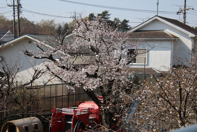 202504nyuen0014.jpg