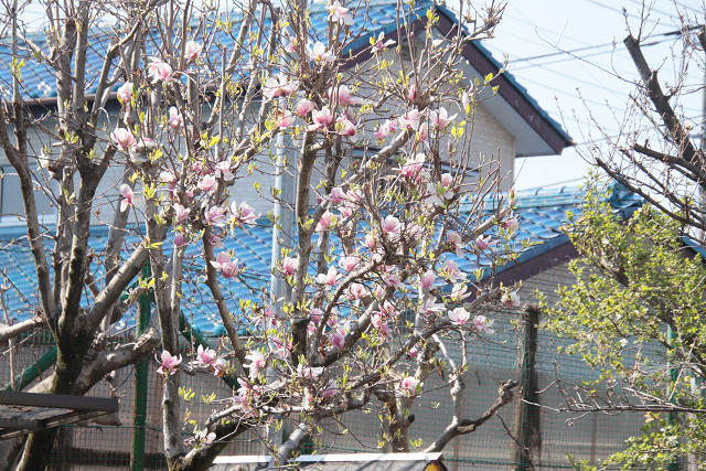 202504nyuen0032.jpg