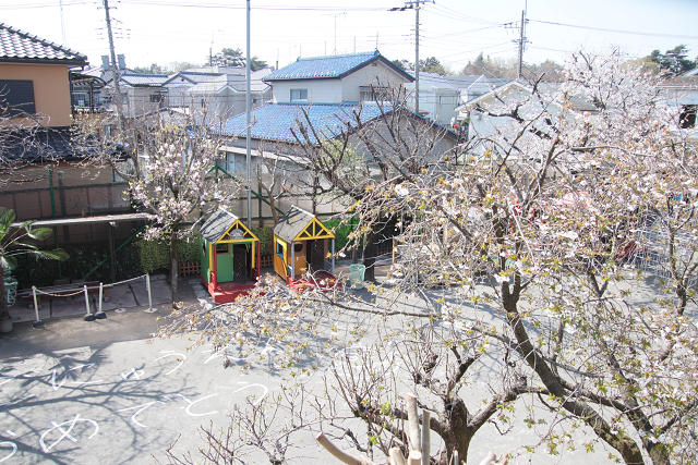 202504nyuen0041.jpg