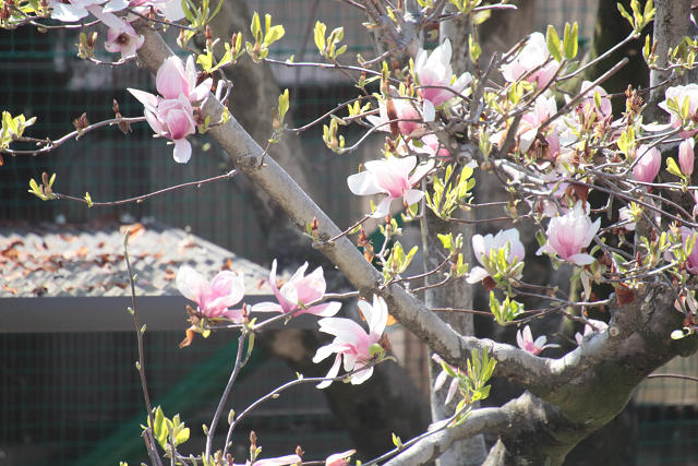 202504nyuen0042.jpg