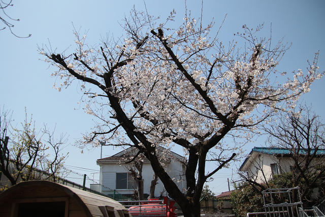 202504nyuen0595.jpg