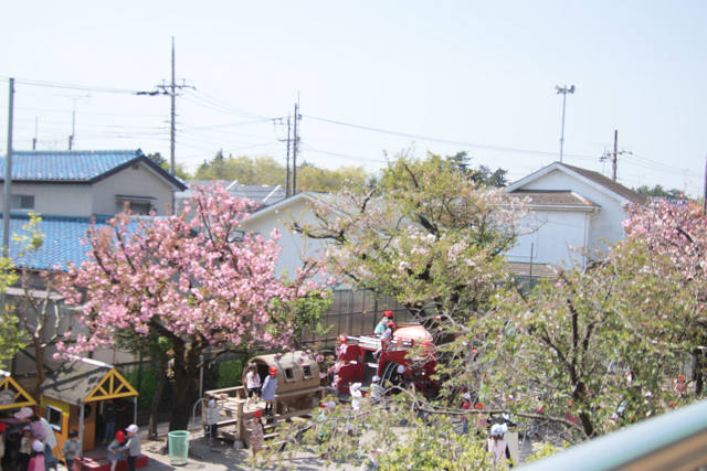 202504otanjo0002.jpg