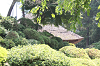 202505Asiofune0084_thumb.png