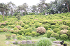 202505Bsiofune0162_thumb.png