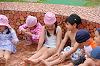 202506puluhiraki0323_thumb.png
