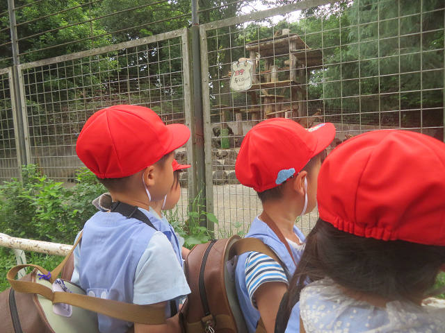 202506Bchikozan0311.jpg