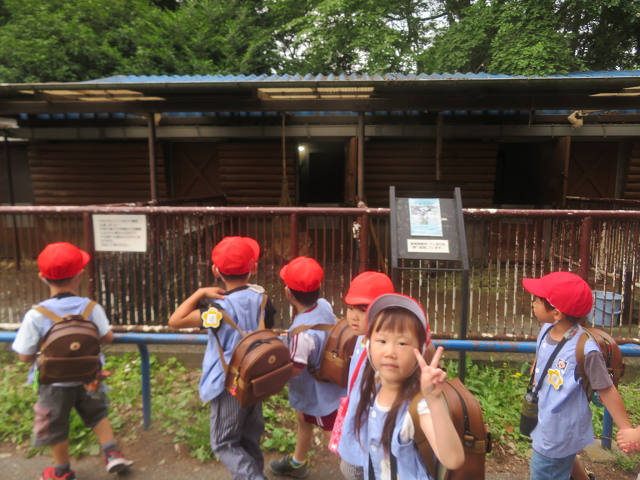 202506Bchikozan0316.jpg