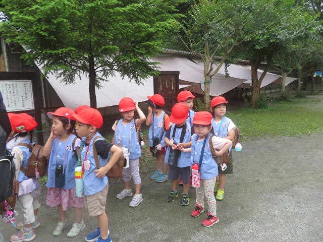 202506Bchikozan0319.jpg