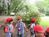 202506Bchikozan0321_thumb.png