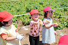 202506poteto0445_thumb.png