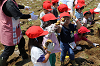 202506poteto0448_thumb.png