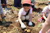 202506poteto0449_thumb.png