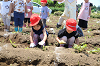 202506poteto0453_thumb.png