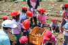 202506poteto0457_thumb.png