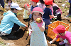 202506poteto0459_thumb.png
