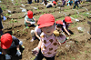 202506poteto0461_thumb.png