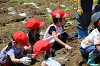 202506poteto0464_thumb.png
