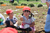 202506poteto0467_thumb.png