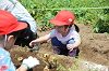 202506poteto0474_thumb.png
