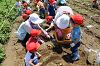 202506poteto0480_thumb.png