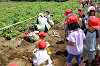 202506poteto0482_thumb.png