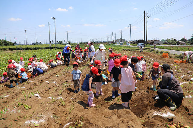 202506poteto0486.jpg
