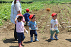 202506poteto0493_thumb.png