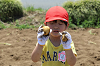 202506poteto0502_thumb.png