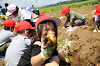 202506poteto0511_thumb.png