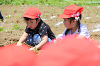 202506poteto0512_thumb.png