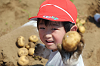 202506poteto0514_thumb.png