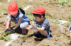 202506poteto0516_thumb.png