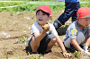 202506poteto0517_thumb.png