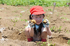 202506poteto0520_thumb.png