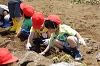 202506poteto0529_thumb.png