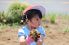 202506poteto0532_thumb.png