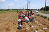 202506poteto0538_thumb.png