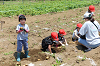 202506poteto0541_thumb.png