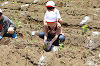 202506poteto0548_thumb.png