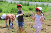 202506poteto0551_thumb.png