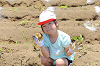 202506poteto0552_thumb.png