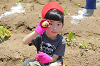202506poteto0554_thumb.png