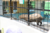202506Aharura0626_thumb.png