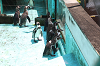 202506Aharura0635_thumb.png