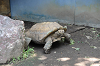 202506Aharura0640_thumb.png