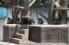 202506Aharura0646_thumb.png