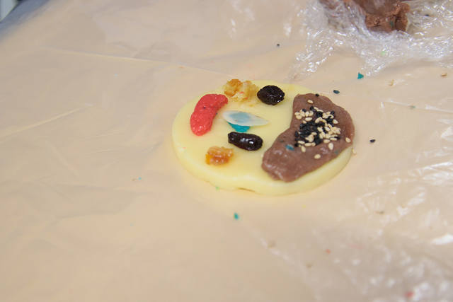 202506cookie0240.jpg