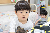 202506cookie0259_thumb.png