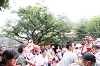202506titinohi0564_thumb.png